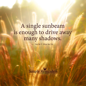 saint-francis-sunbeam-drive-shadows